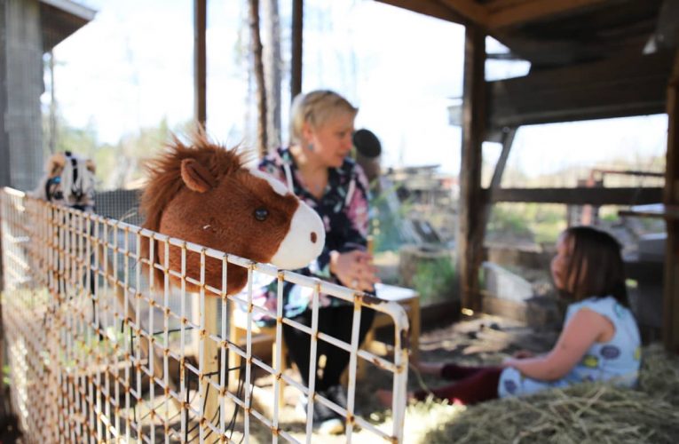 Näin korona mullisti 7-henkisen perheen kesän – loma kuluu matkojen, mökin ja huvipuistojen sijaan kotipihassa