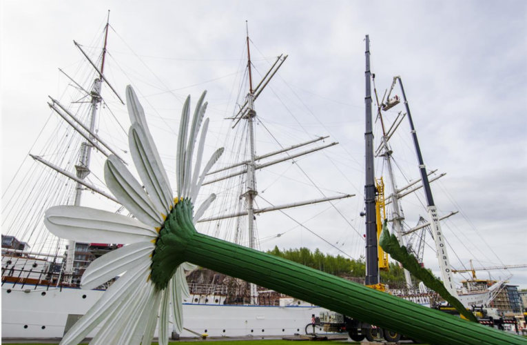 Kiipeilyä Suomen Joutsenessa ja kisailua Airistolla – Swan European Regatta -purjehduskilpailun ympärillä tapahtuu