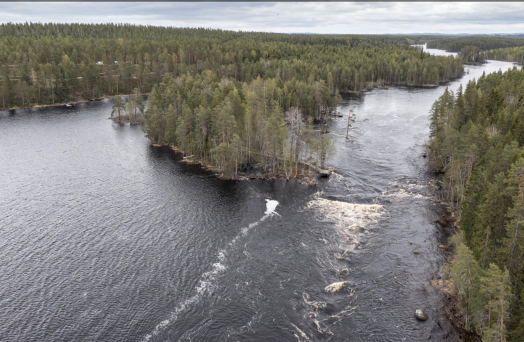 Uhatulle kalalle löytyisi koti korven kätköistä – Itärajan kosket kiehtovat jo nyt kalastajia, mutta monimuotoisuuden ja matkailun kehittäminen lupaavat vieläkin enemmän