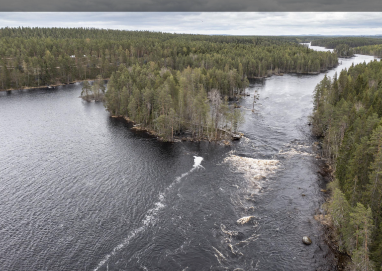 Uhatulle kalalle löytyisi koti korven kätköistä – Itärajan kosket kiehtovat jo nyt kalastajia, mutta monimuotoisuuden ja matkailun kehittäminen lupaavat vieläkin enemmän