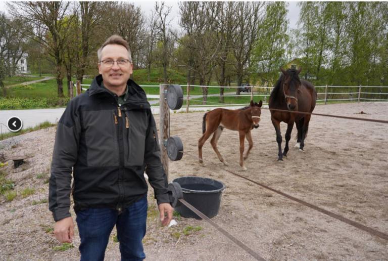 Hyvän mielen tilalla – Paraisten Qvidjassa voivat hyvin niin ihmiset kuin eläimetkin