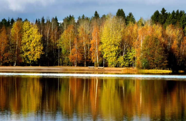 Mistä tulevat syksyn ruskan värit?