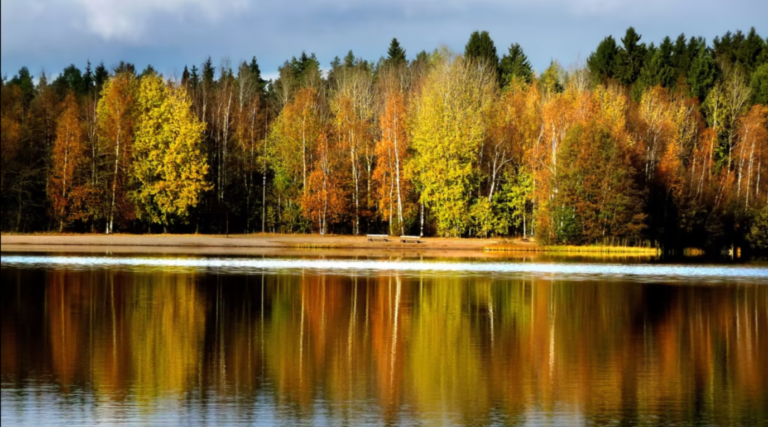 Mistä tulevat syksyn ruskan värit?